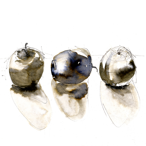 Watercolour study of three apples
